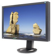 24" EIZO S2402WFS-BK EcoView - LCD Monitor