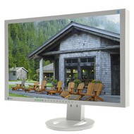 24" EIZO S2402WFS-GY EcoView - LCD Monitor