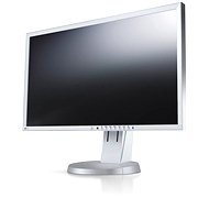24 &quot;EIZO FlexScan EV2416WFS3-GY - LCD monitor