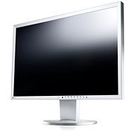 24" EIZO FlexScan EV2436WFS3-GY - LCD Monitor