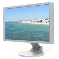 24" LCD EIZO S2433WE-GY EcoView - LCD Monitor