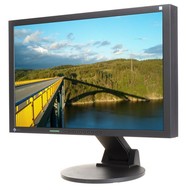 24" LCD EIZO S2433WE-BK EcoView - LCD Monitor