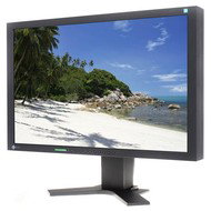 24" LCD EIZO S2433WH-BK EcoView - LCD Monitor