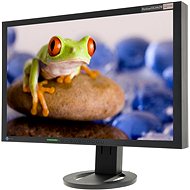 24" EIZO SX2462WFS-BK EcoView - LCD Monitor