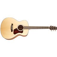 Walden WAG550E - Acoustic-Electric Guitar