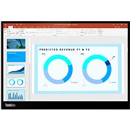 14" Lenovo ThinkVision M14d - LCD Monitor