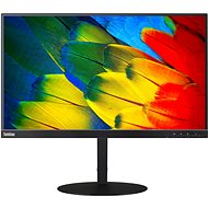 23.8" Lenovo ThinkVision T24m-29 Raven Black - Monitor