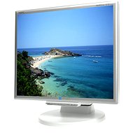 17" NEC MS 175M silver - LCD Monitor