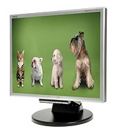 17" NEC MS 175M black - LCD Monitor