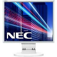 17" NEC MultiSync E171M silver-white - LCD Monitor