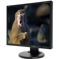 19" NEC MultiSync LED EA192M black - LCD Monitor