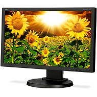 20" NEC MultiSync LED E201W E201W black - LCD Monitor