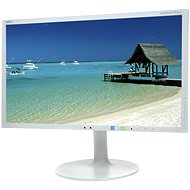 20" NEC MultiSync LED EX201W - LCD Monitor