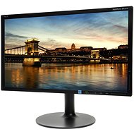 20" NEC MultiSync LED EX201W black - LCD Monitor
