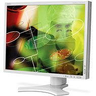 20" NEC MultiSync 2090UXi silver-white - LCD Monitor