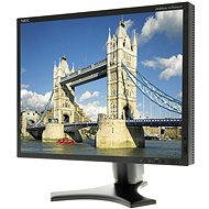 20" NEC MultiSync 2090UXi black - LCD Monitor