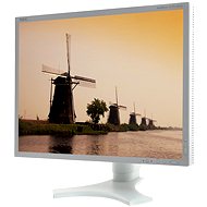 21" NEC MultiSync 2190UXp silver - LCD Monitor