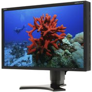 22 "NEC MultiSync P221W Black - LCD Monitor