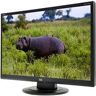 22" NEC AccuSync AS221WM - LCD Monitor