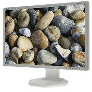 22" NEC MultiSync LCD E222W silver - LCD Monitor