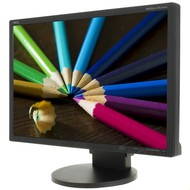 22" NEC MultiSync LCD EA222WMe black - LCD Monitor