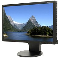 23" NEC MultiSync LED EA232WMi black - LCD Monitor