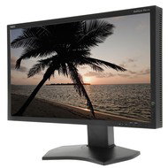 23" NEC MultiSync LCD PA231W  black - LCD Monitor