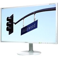 23" NEC MultiSync LED EX231Wp white - silver - LCD Monitor