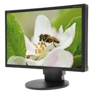 23" NEC MultiSync LCD EA241WM black - LCD Monitor
