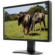 24" NEC MultiSync PA241W black - LCD Monitor