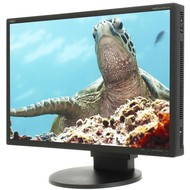 26" NEC MultiSync EA261WM black - LCD Monitor