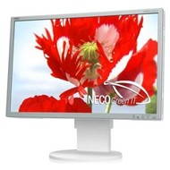 26" NEC MultiSync EA261WM silver-white - LCD Monitor