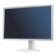 30" NEC SpectraView 3090WQXi silver-black - LCD Monitor