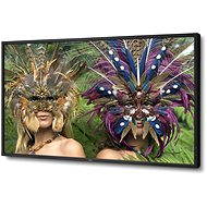  46 "NEC MultiSync P462 LCD Black  - LCD Monitor