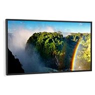 55" NEC MultiSync LCD P551 černý - LCD Monitor