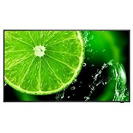 49" NEC MultiSync E498 - Large-Format Display