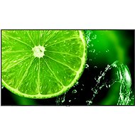 75" NEC MultiSync E758 - Large-Format Display