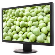 21.5" LCD ACER V223HQb - LCD Monitor
