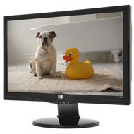 21.5" HP s2231a - LCD Monitor