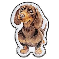 Wrendale Designs Metal Badger Brooch - Brooch