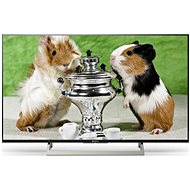 55" Sony Bravia KD-55XF8096 - Television