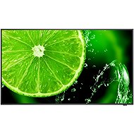 32" NEC MultiSync E328-2 - Large-Format Display