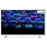 40" Sharp LC 40FI3222EW - Television
