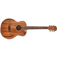 WASHBURN WCGM55K-D-U - Acoustic Guitar