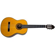 WASHBURN C40-A-U - Classical Guitar