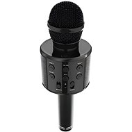 WSTER WS-858 černý - Children’s Microphone