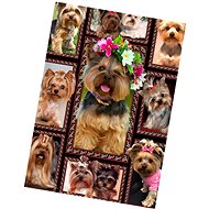 Excllent Yorkshire Terrier Microfleece Warm Blanket 150 × 200 cm - Blanket