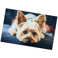 Excellent Anti-slip Dog Mat - Yorkshire Terrier 40 × 60 cm - Bath Mat