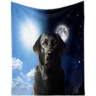 Excellent Micro plush warm blanket 150 × 200 cm Labrador/Day and night - Blanket