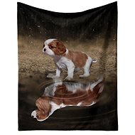 Excellent Microplush warm blanket 150 × 200 cm Cavalier king Charles spaniel - Blanket